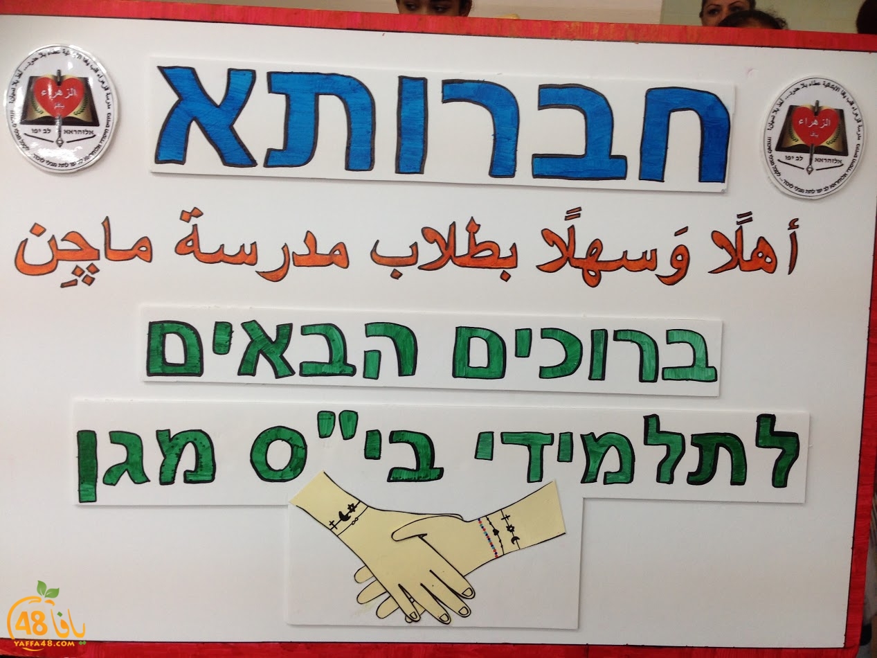 tywasil zohara32 (2).JPG